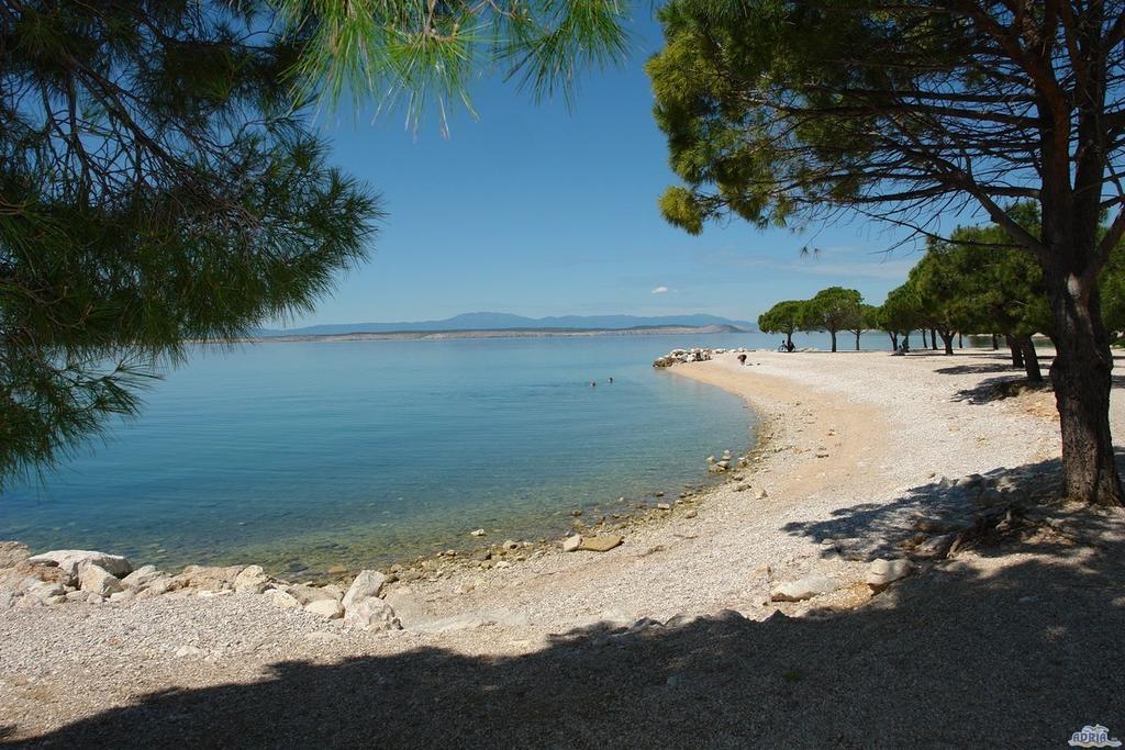 Apartment Promenada Crikvenica Værelse billede